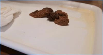 Macrophilia Badkitty España Pee and Pissing with Poop - scat porn video at ScatLab.net