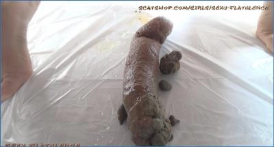 Flatulence Fun with Gina, HD Quality - scat porn video at ScatLab.net