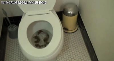 Alina, Demi, Aspen Star in Drew Huge Toilet Poop from Scatlab.net - scat porn video at ScatLab.net