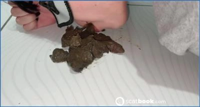 Copro Casal Fist showcases filthy fisting and scat play in POV delight - scat porn video at ScatLab.net