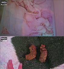 FullHD 1080p Scat and Foot Fetish with Lady Latsuna - scat porn video at ScatLab.net
