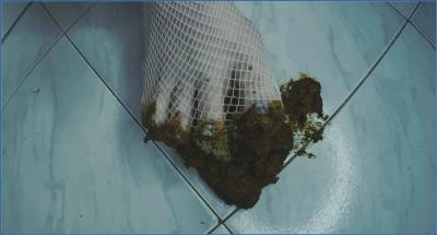 Shit Eating with SweetBettyParlour in Fragrant Stockings and Dirty Feet - scat porn video at ScatLab.net
