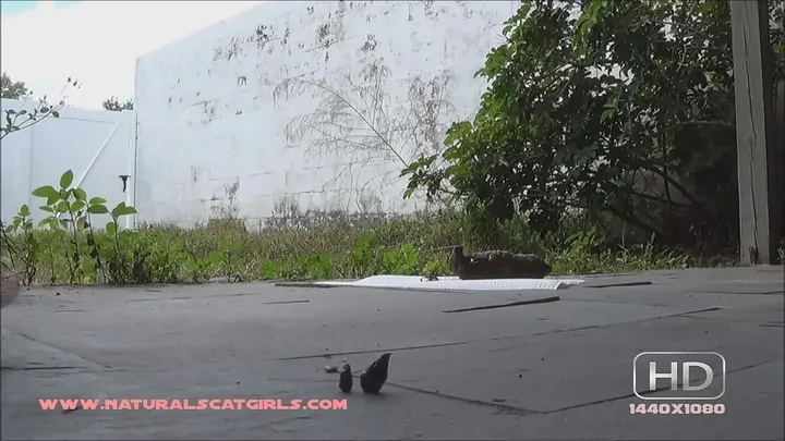 Solo Scat Amateur Shows Off Her Natural Brown Load - Unpolished - scat porn video at ScatLab.net