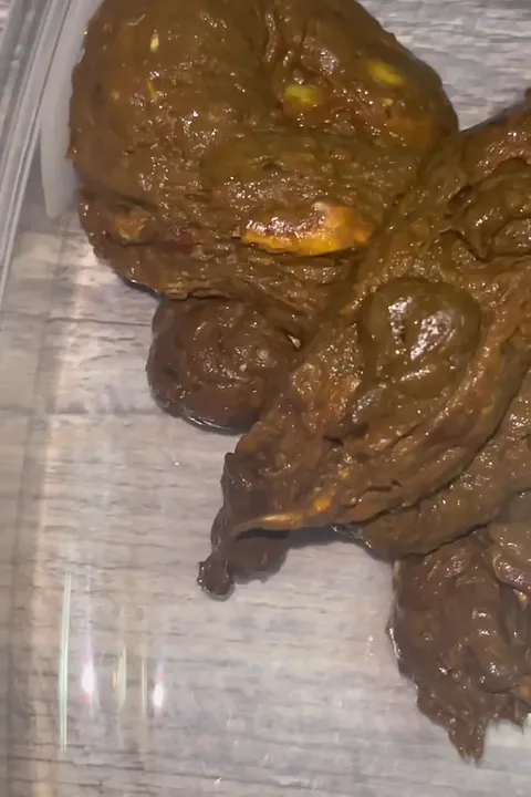 Messy Scat Bout Before an Important Appointment Scat Release - scat porn video at ScatLab.net