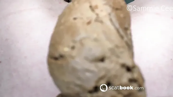 SammieCee Delivers a Fresh Brown Load in Unobstructed Solo Scat Action - scat porn video at ScatLab.net