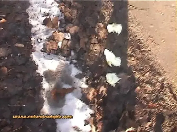 Natural Scat Girl Gets Comfortably Grubby with Her Own Mess - scat - scat porn video at ScatLab.net