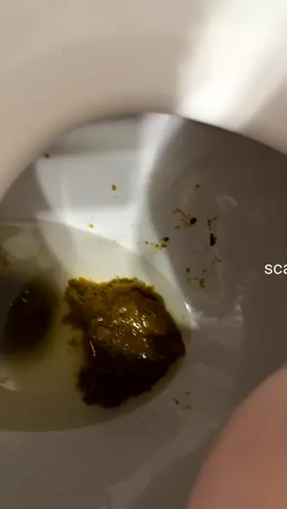 Download SaraBee Unleashes a Quick and Nasty Solo Scat Flash in Under Twenty ScatLab.net