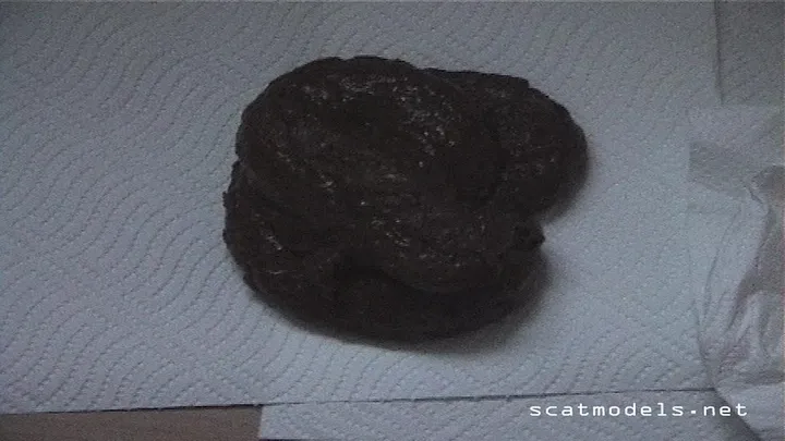 Solo Amateur Shits and Smears Herself in a Dirty Homemade Scat Run - scat porn video at ScatLab.net