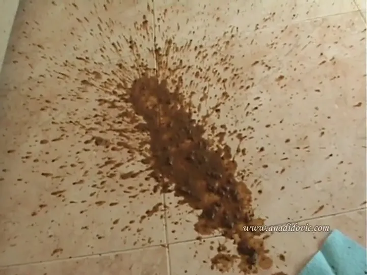 Ana Didovic Takes a Relaxed Solo Poop for Her Devoted Scat Fans - scat porn video at ScatLab.net