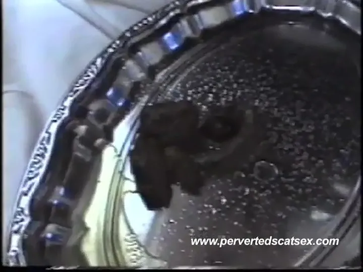 Warm Load of Scat Smearing Spreads Fast and Sordid - Perverted Scat - scat porn video at ScatLab.net