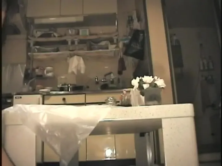 Download Asian Scat JAV: Vintage Gritty Action with Unhurried Defecation ScatLab.net