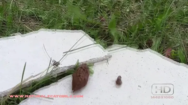 Solo Scat Goddess Embraces Her Natural Urges in a Honest Drop - scat - scat porn video at ScatLab.net