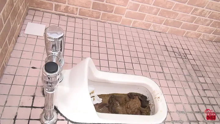 Jade's Stinky Poops and Clogged Toilets - Japanese Scat Grime - scat porn video at ScatLab.net