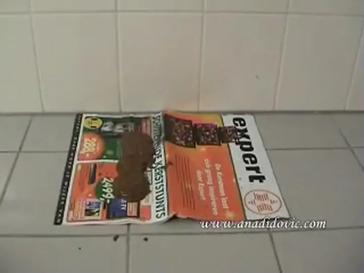 Ana Didovic Delivers a Quick, Messy Poop in a Candid Solo Scat Clip - scat porn video at ScatLab.net
