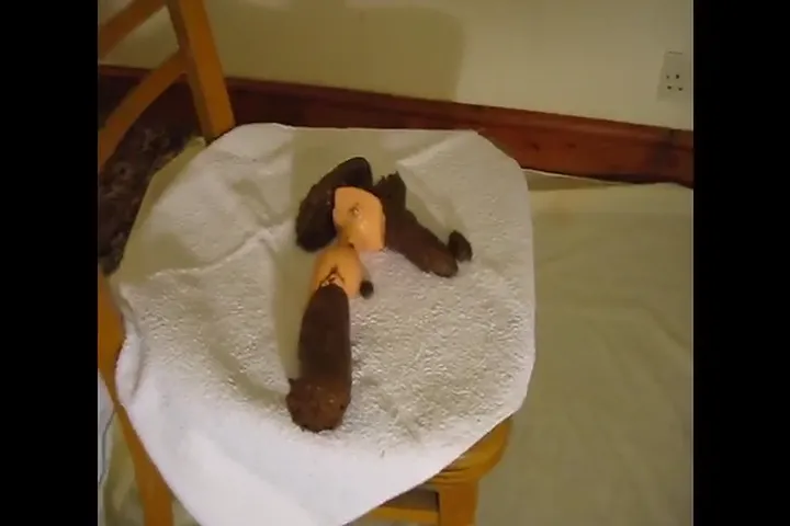Shya Poops and Pees in a Slow, Messy Solo Scat Round - scat porn video at ScatLab.net